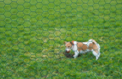 hexaplast drótkerítés, zöld 13x13mm, 1x2,50m