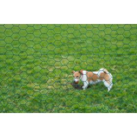 hexaplast drótkerítés, zöld 25x25mm 50cmx10m