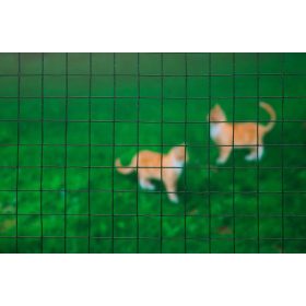 drótkerítés, 25mmx25mm, műanyag bevonattal,1mx5m