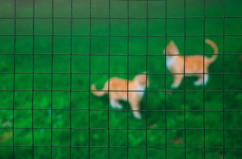 drótkerítés, 25mmx25mm, műanyag bevonattal,1mx5m