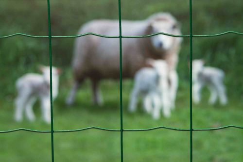 drótkerítés, négyszögletes, 100x75mm, műanyag bevonattal,80cmx10m