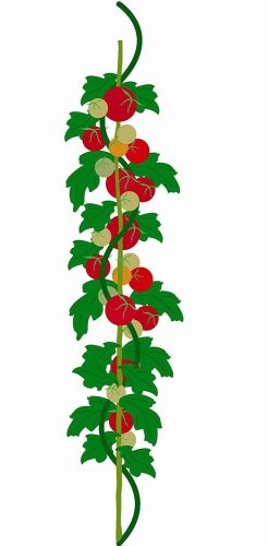 Horganyzott acél paradicsompálcák - 4 db 6 mm x 180 cm-es készlet LG1616