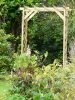 Pergola egy rózsán S7012