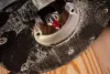 Neo v típusú horonymaró 8x8 mm, szár 8 mm, HM