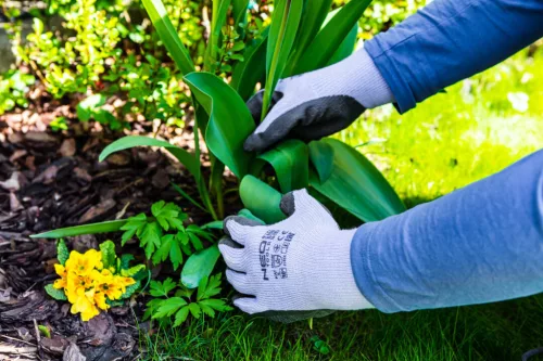 Neo munkakesztyű, latex bevonatú pamut polyesterrel, 8"