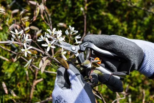 Neo munkakesztyű, latex bevonatú pamut polyesterrel, 8"