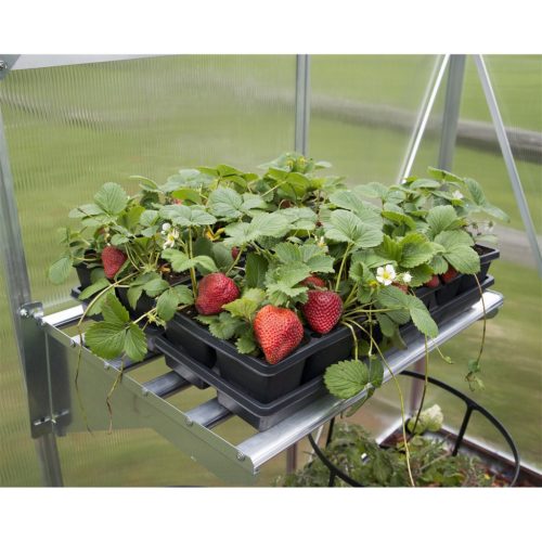 Palram fém tartópolc üvegházakhoz Canopia