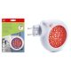 Mini UV szúnyog-légy csapda, hálózati, 3 watt Led