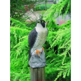 Állatfigura, Sólyom, , 40 cm