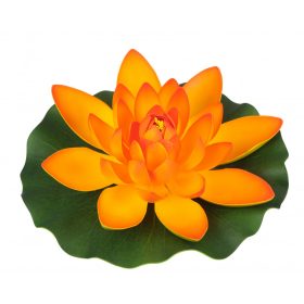 Tavirózsa 28cm sárga