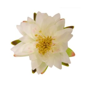 Selyemvirág, tavirózsa, 16cm krémszínű