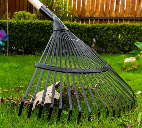 Verto lombseprű, fanyél, 21 fog