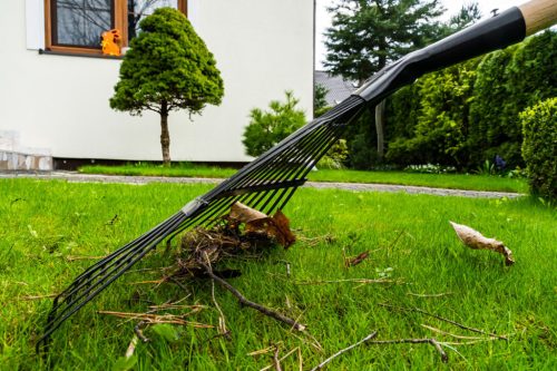 Verto lombseprű, fanyél, 21 fog