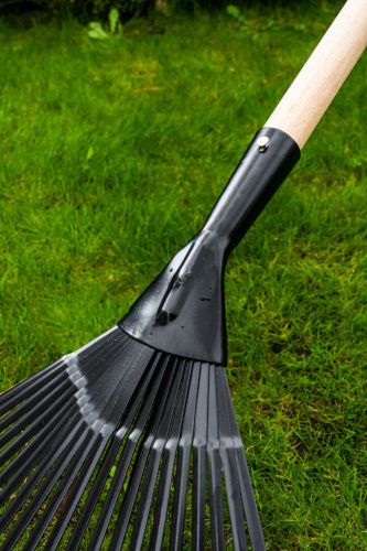 Verto lombseprű, fanyél, 21 fog