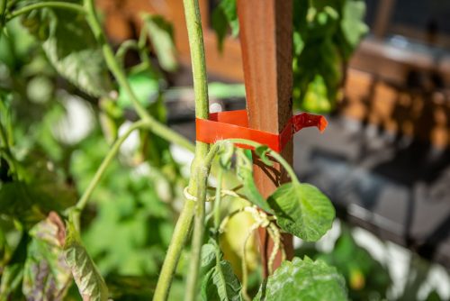 Verto kézi növénykötöző, 25m szalag + 200 db kapocs