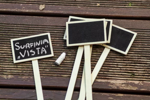 Verto leszúrható növényjelölő tábla, 5 részes