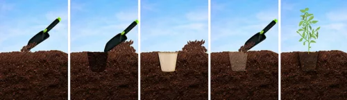 Verto palántázó 8x8x7,8cm, 60 db