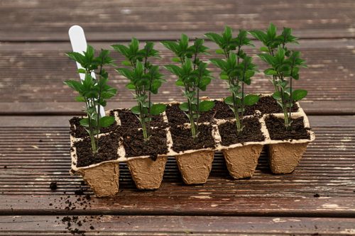 Verto palántázó készlet, 88 részes