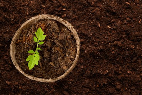 Verto palántázó készlet, 88 részes