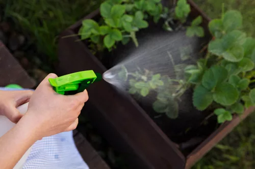Verto kézi pumpás permetező 1000 ml