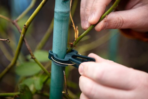 Verto növényrögzítő kapocs készlet, 20 db