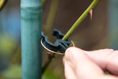 Verto növényrögzítő kapocs készlet, 20 db