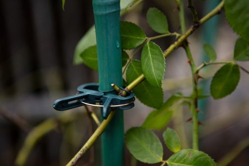 Verto növényrögzítő kapocs készlet, 20 db