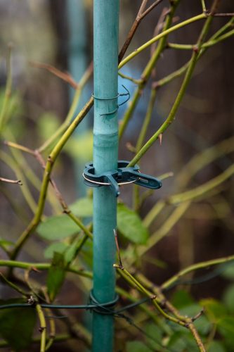 Verto növényrögzítő kapocs készlet, 20 db