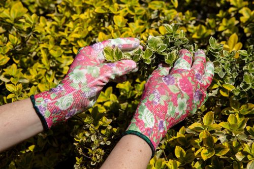 Verto kertész kesztyű, PU bevonat, rózsamintás, 8"