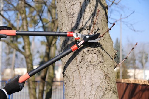 Yato ágvágó teleszkópos 610-950 mm / 35 mm